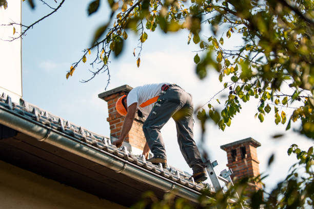 Best Local Roofing Companies  in Edina, MO