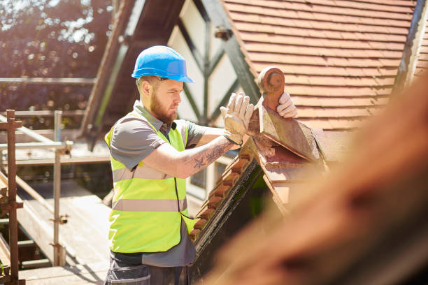 Best Metal Roofing Contractor  in Edina, MO